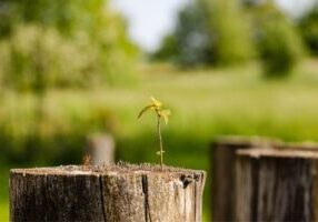 Design sans titre - 1